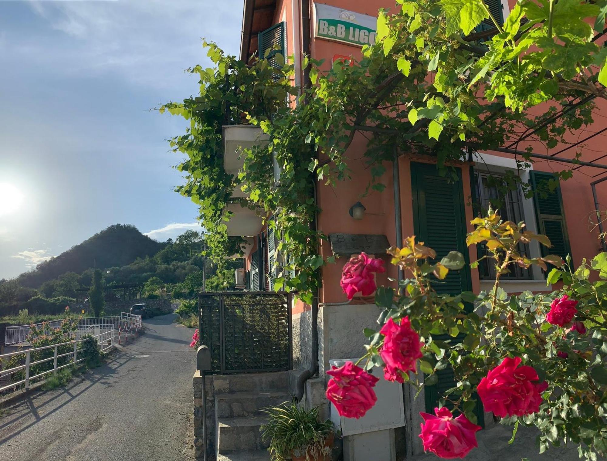 Ligo Bed & Breakfast Villanova d'Albenga Exterior photo