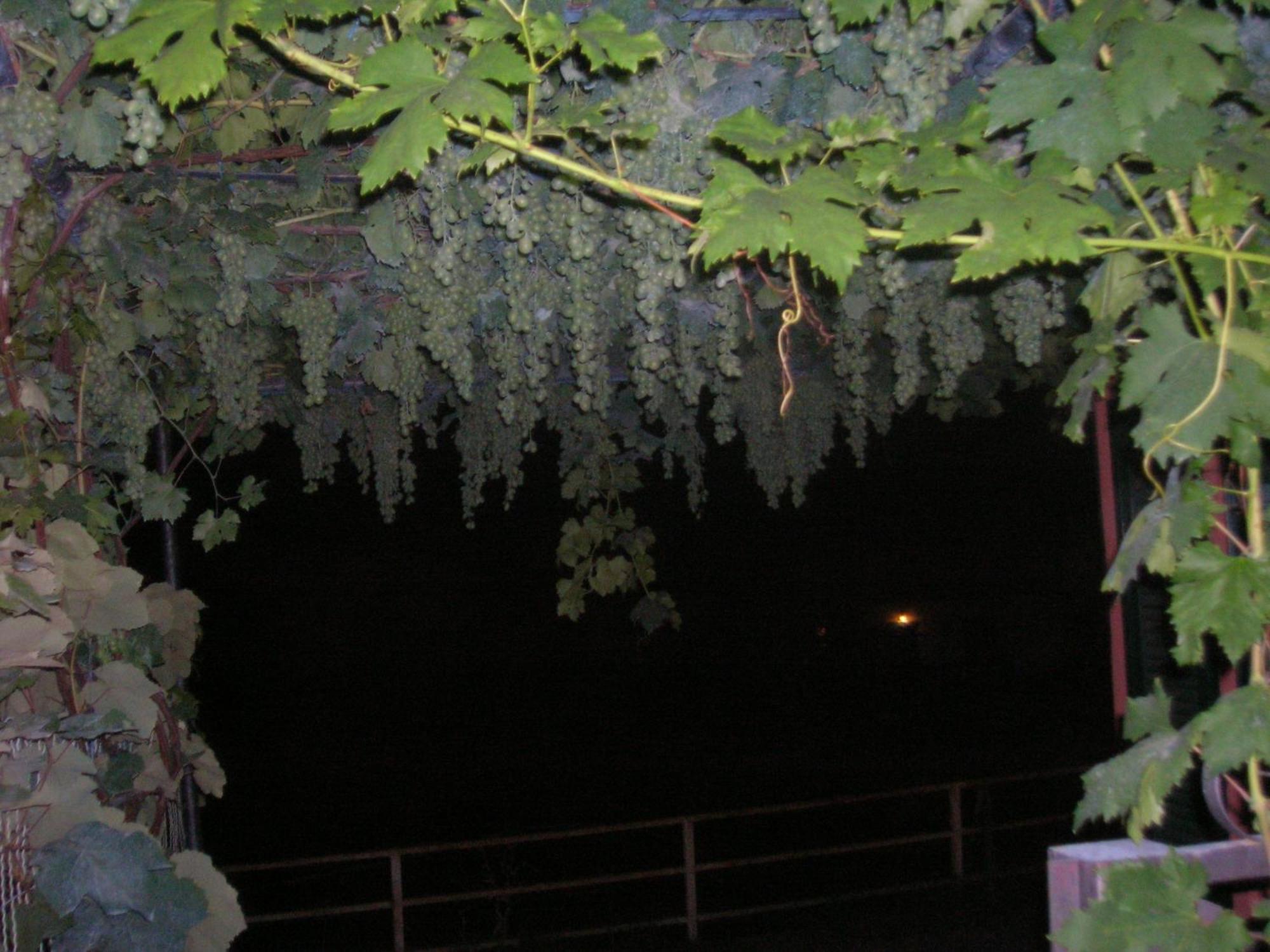 Ligo Bed & Breakfast Villanova d'Albenga Exterior photo