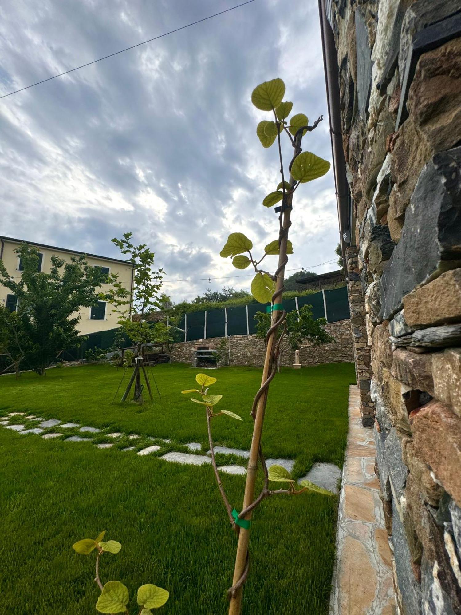Ligo Bed & Breakfast Villanova d'Albenga Exterior photo