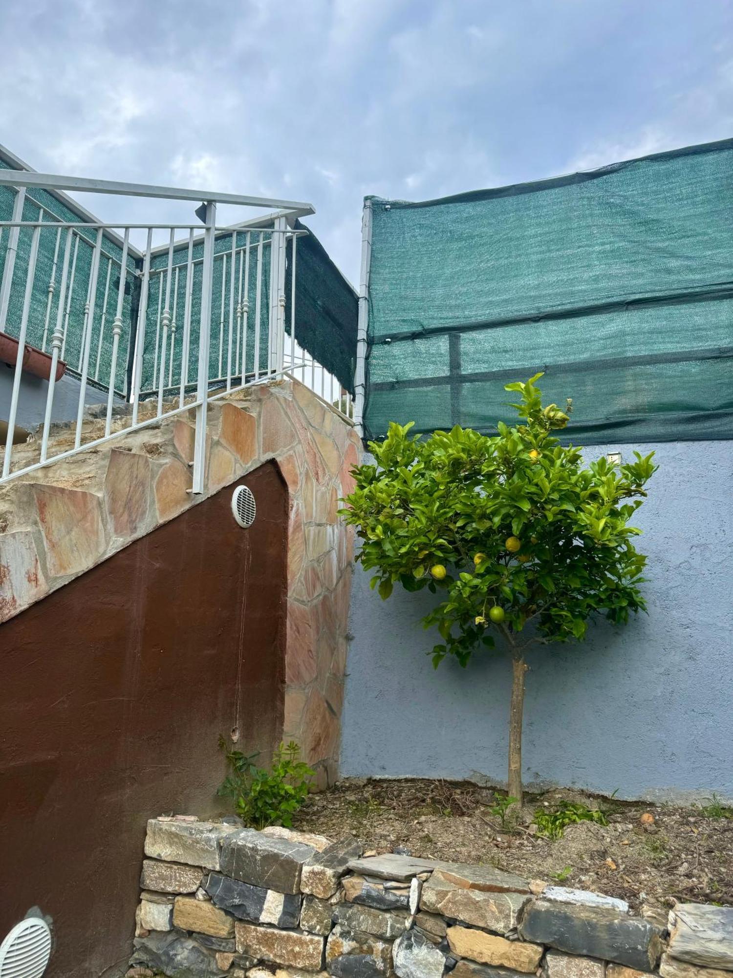 Ligo Bed & Breakfast Villanova d'Albenga Exterior photo