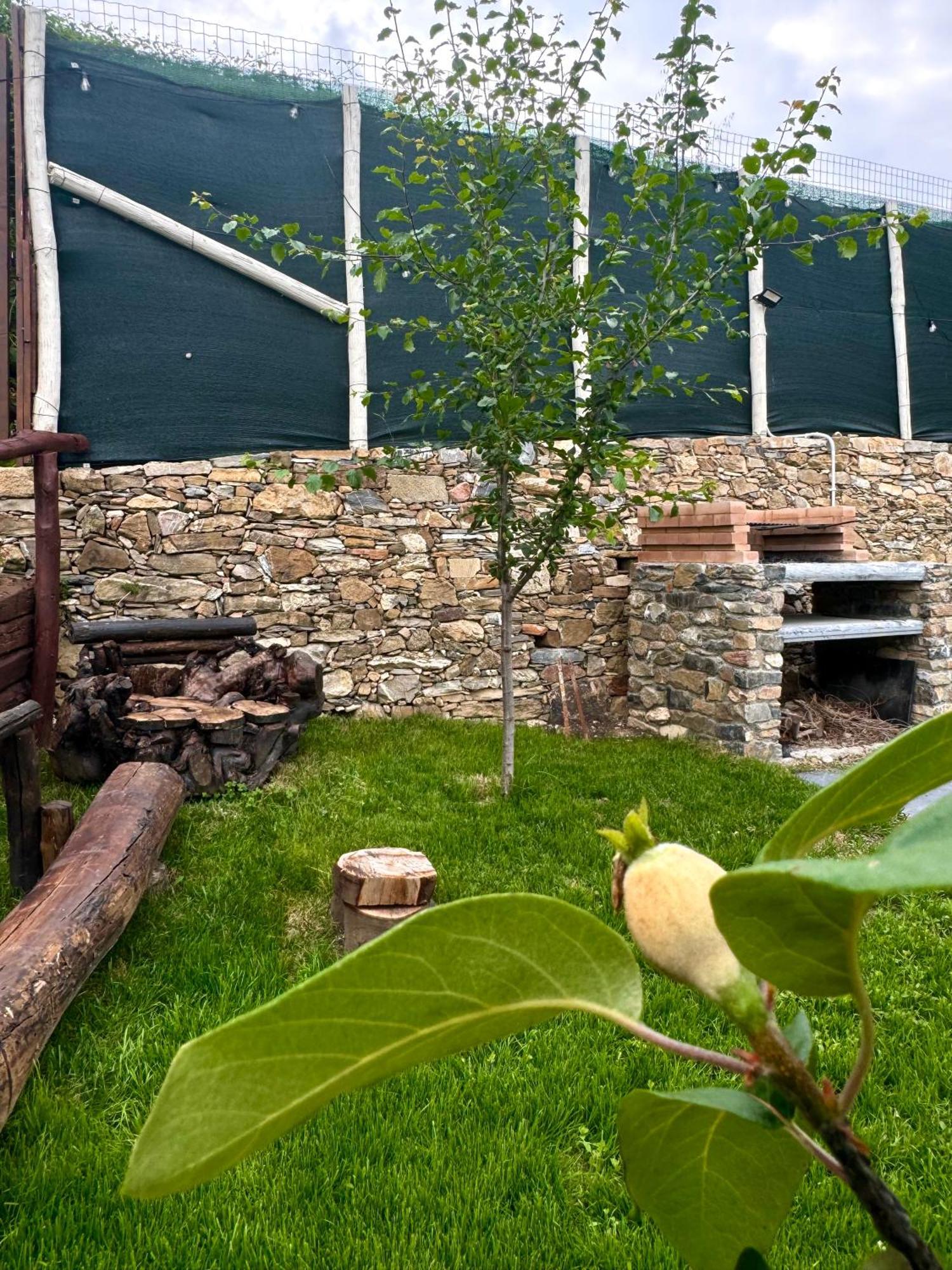 Ligo Bed & Breakfast Villanova d'Albenga Exterior photo
